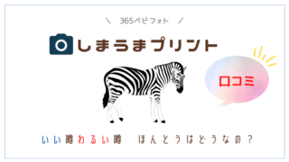 しまうまプリントのフォトブックの口コミは?後悔しないために読んで欲しい。